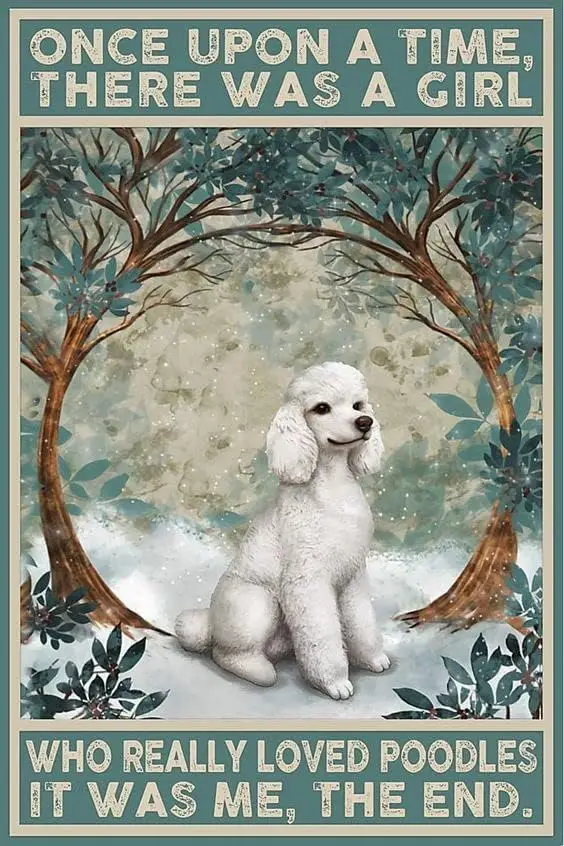 

Metal Tin Sign Poodles Once Upon A Time Sign Metal Sign Aluminum Funny Signs Vintage Wall Decor for Home Garden Bar