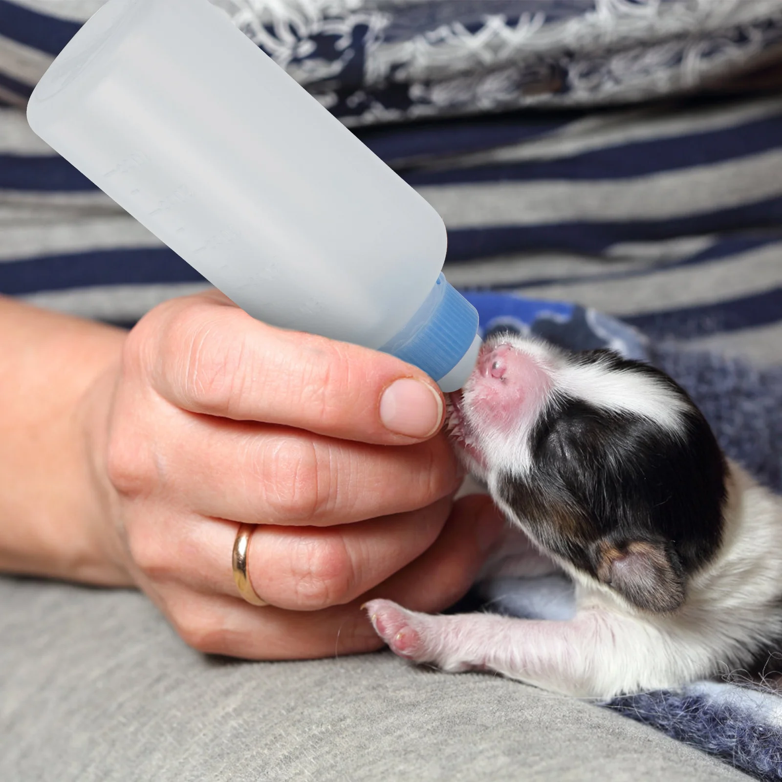 

3Pcs Cat Milk Bottles Portable Practical Pet Feeding Tools Puppy Nursing Bottles Dog Milk Feeders Household Pet Supplies