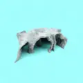 Gray-Xs