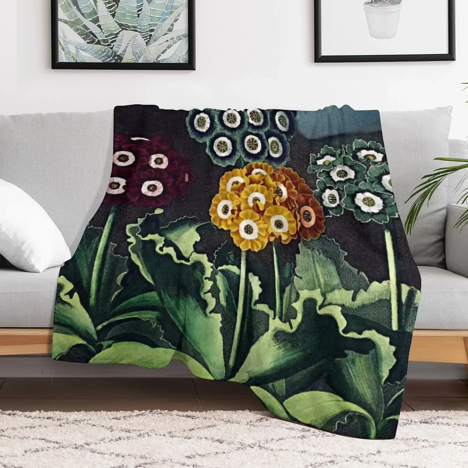 Botanical Art Temple Of Flora Auriculas Throw Blanket warm winter Luxury Throw christmas gifts Blankets