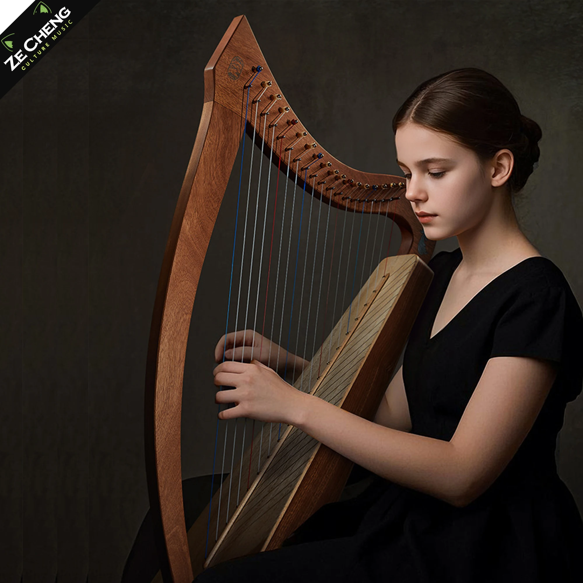 

Solid Wood Harp 19 Strings Portable Arpa Beginner Traditional Lyres Adult String Instrument Professional Musical Instruments