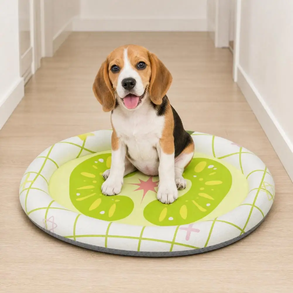 Pet Bed for Dogs Wear-resistant Dog Bed Raised Edge Dog Bed Breathable Summer Sleeping Pad Padded Oval Pet for Cats Dogs Spine