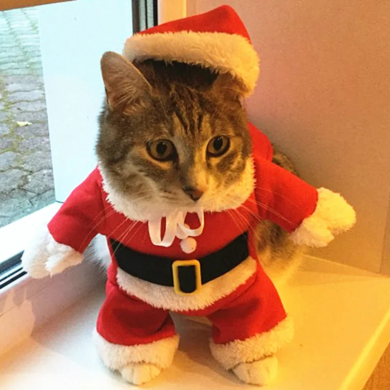 Świąteczne kostiumy dla kotów Zabawne ubrania Świętego Mikołaja dla małych kotów Psy Xmas New Year Pet Cat Odzież zimowa Kitty Kitten Outfits