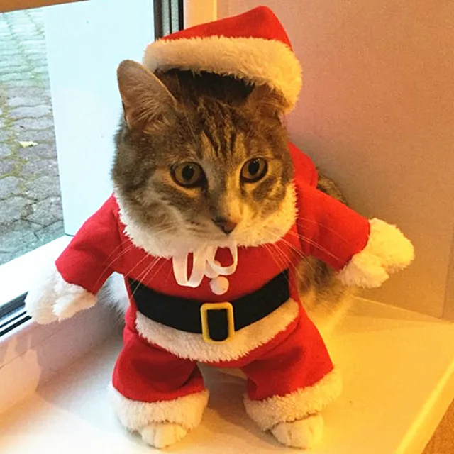 Świąteczne kostiumy dla kotów Zabawne ubrania Świętego Mikołaja dla małych kotów Psy Xmas New Year Pet Cat Odzież zimowa Kitty Kitten Outfits