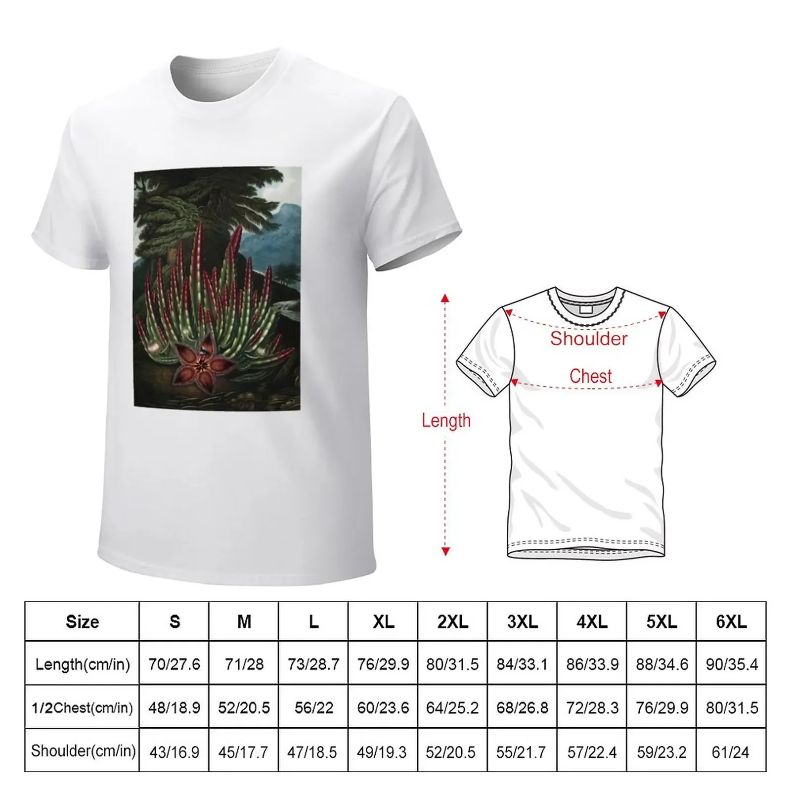 The Maggot-bearing Stapelia - The Temple of Flora T-Shirt for a boy graphics cute clothes plain black t shirts men