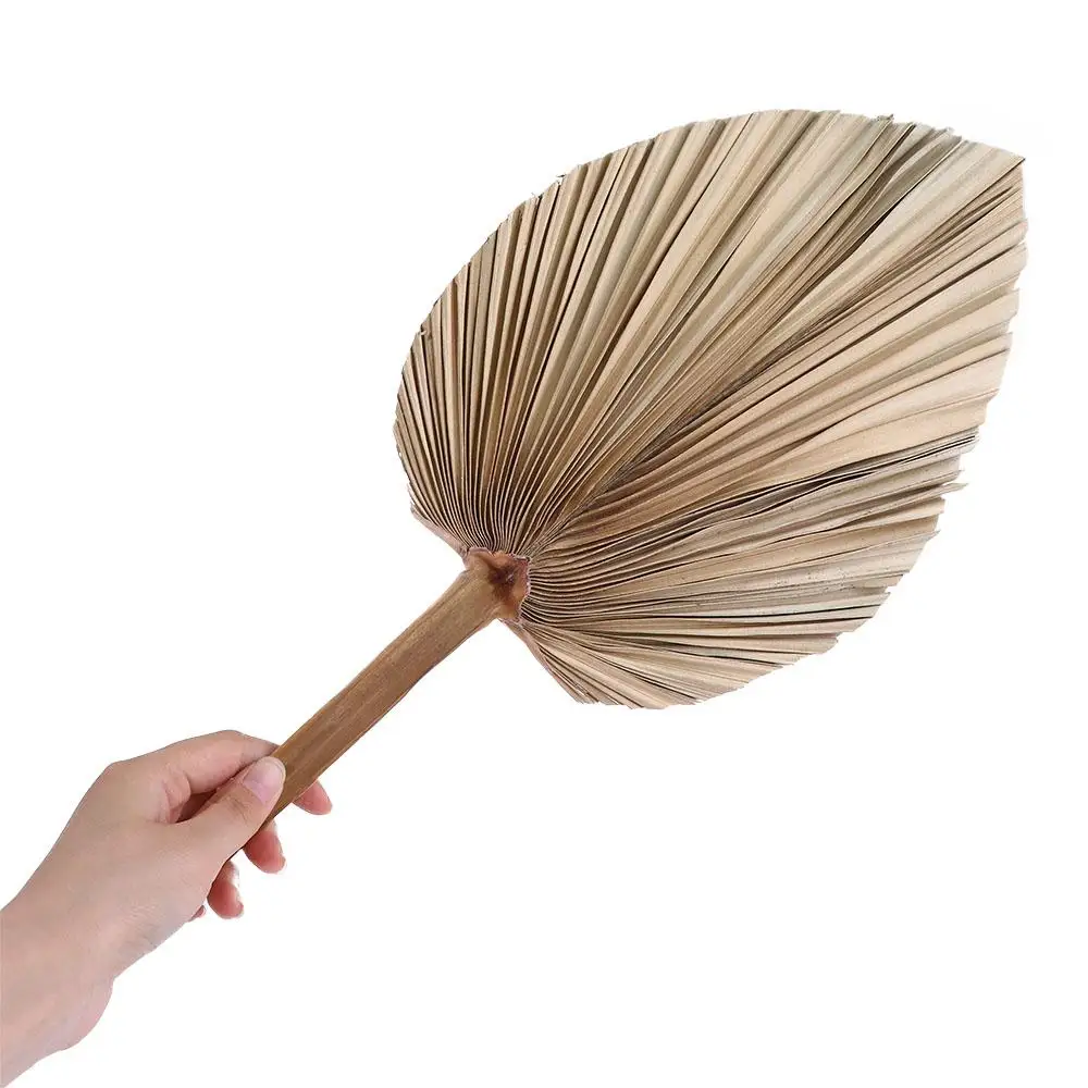 Party Office Boho Trimmed Bohemian Natural Palm Spears Fan Leaf Dried Plant Leaves