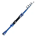 Spinning Rod