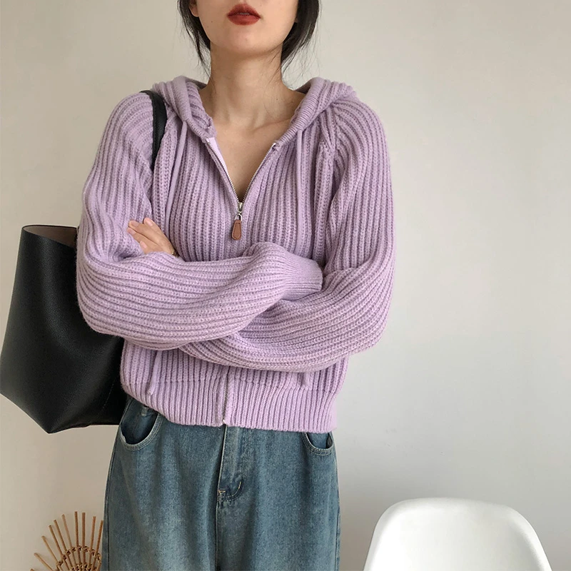 Coreano sle com capuz de malha cardigan feminino primavera outono faion casual zíper ort versátil camisola branca jaet