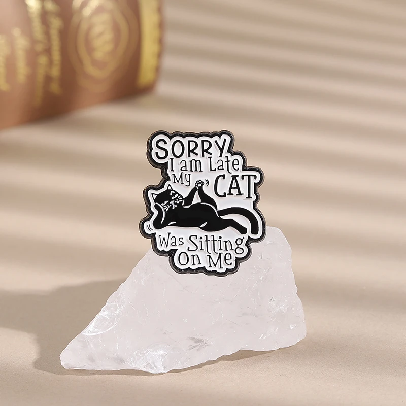 Mon chat était assis sur moi épingles en émail sorcier je suis en retard broches en métal mode revers Badge sac à dos vêtements bijoux cadeau pour ami