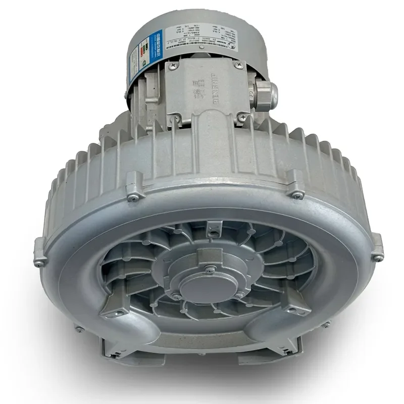 REXCHIP Multifunctional air Ring Blower SIngle Phase Single Stage Oil Free air Pump 0.55 kW 310 H06 Made in China