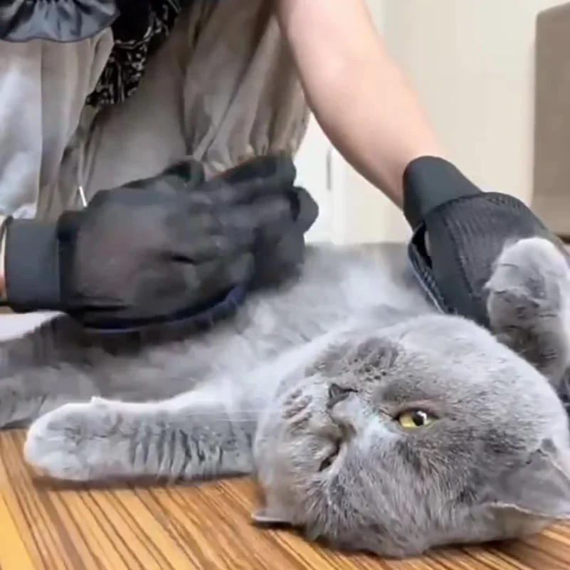 10 Guantes Silicona Cuidado Mascota Pelo Gato Perro - usage example