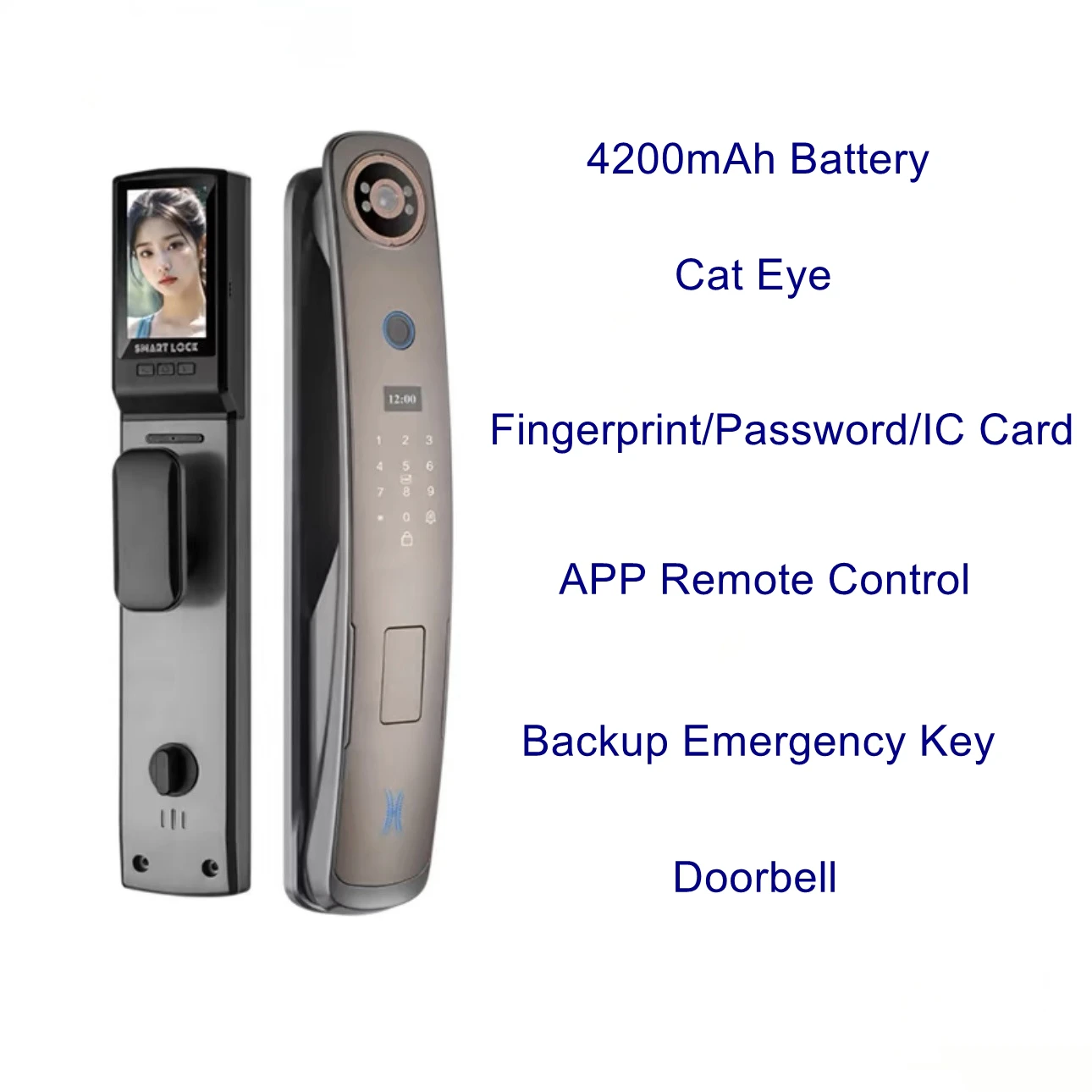 EGFirtor APP Face Recognition Fingerprint Smart Electronic Password Home Gate Door Lock With Cylinder