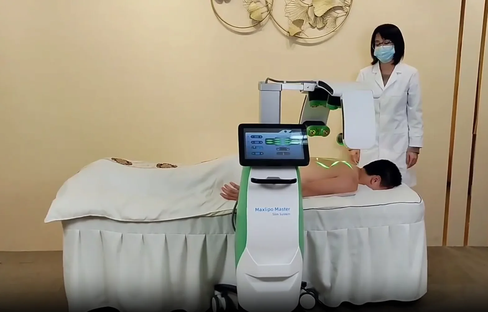 10D Emerald 532nm Zerona Diode Laser Machine Luxmaster Slim Liposuction Fat Reduction Body Sculpting Weight Loss Device