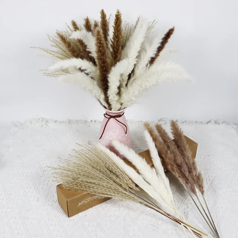 

100Pcs/lot High Quality Pampas Grass Fluffy Room Phragmites Decoration Natural Plants Home Dried Flowers Bouquet Ramadan Decor