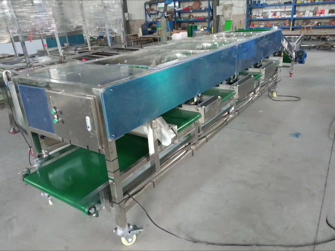 VBJX Automated Button Avocado Sorter Mushroom Sorting Olive Cherry Grader Elevator Conveyor Machine