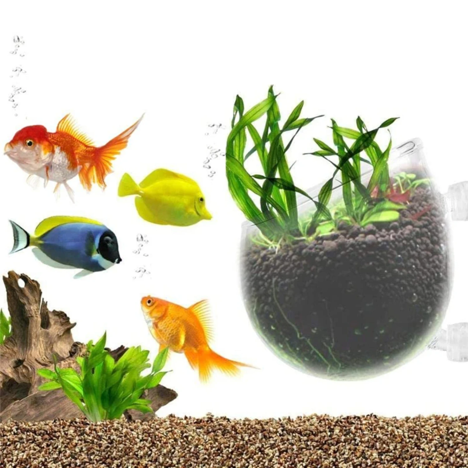 

Aquarium Plant Pot Glass Cylinder Cup With Suckers Cultivate Aquatic Plant Seeds Coral Moss Fish Tank Decoration Accessory