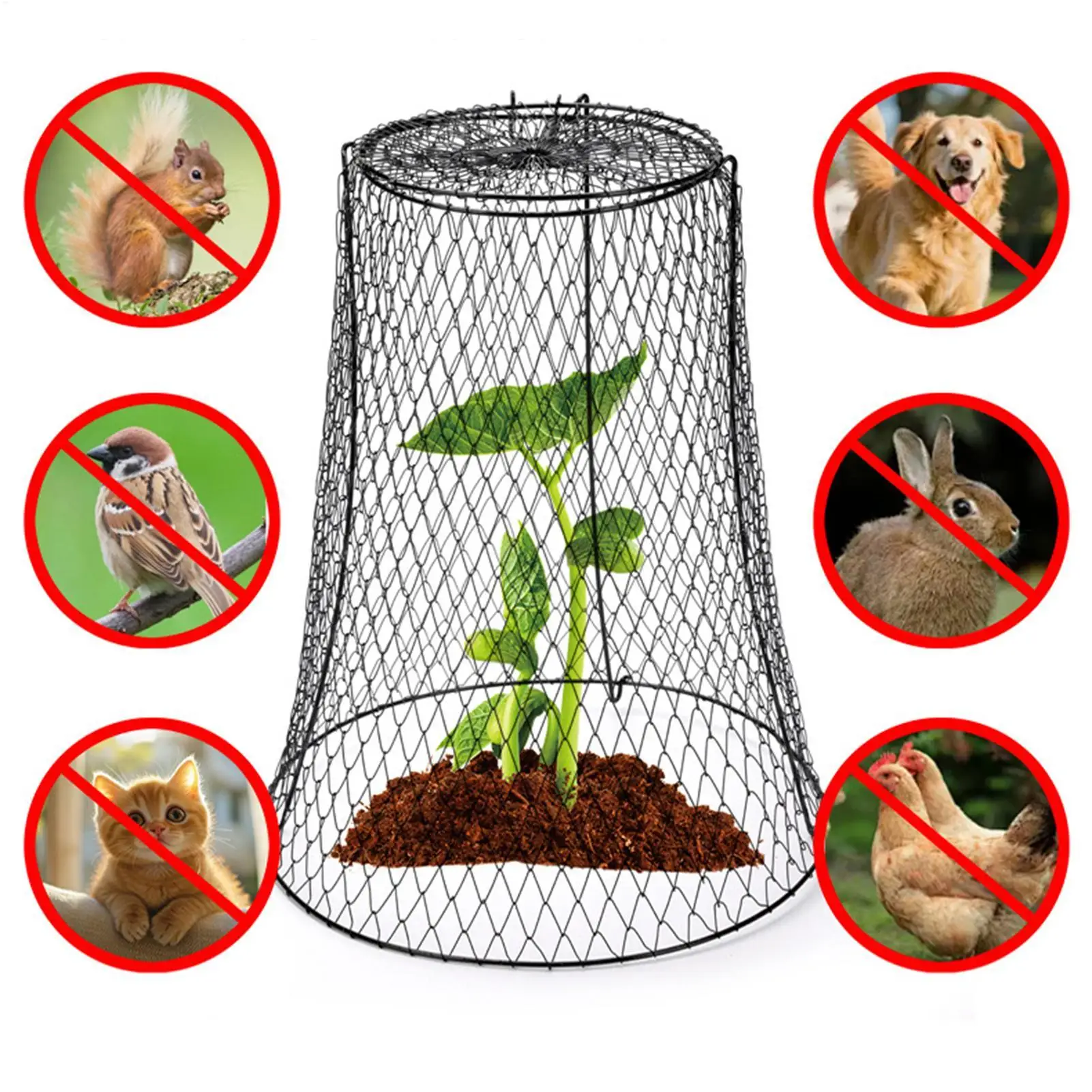 Chicken Wire Cloche Heavy Duty Metal Protection Cage Garden Cages To Keep Animals Out for Outdoor Strawberries