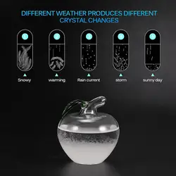 35ml Weather Forecast Glass Storm Bottle Apple Office Desktop Decoration Crafts Transparent Crystal Water Drop Ornaments Gift