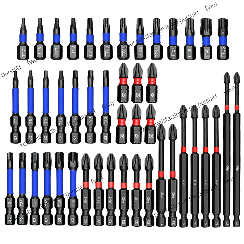 46PCS Torx With Hol…