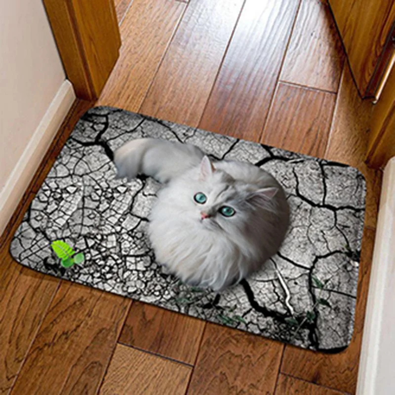 3D Flannel Printed Cute Pug Dog Entrance Doormat Floor Carpet Bathroom Bedroom Door Mat Bedside Rug Home Decor Kitchen Balcony