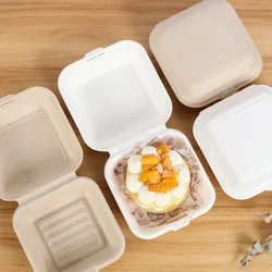 10/20/50Pcs Disposable Eco-Friendly Bento Box Food Meal Prep Lunch Storage Fruit Salad Hamburger Cake Fries Sandwich Package