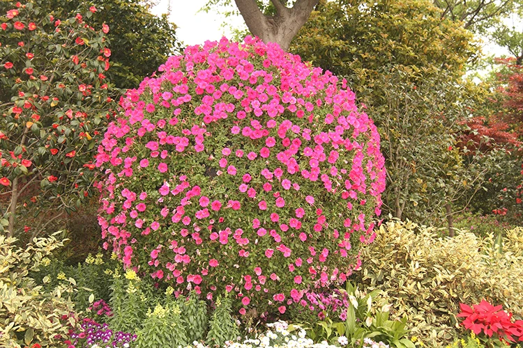 Large spherical flower pot Garden supplies Large spherical plastic flower pot