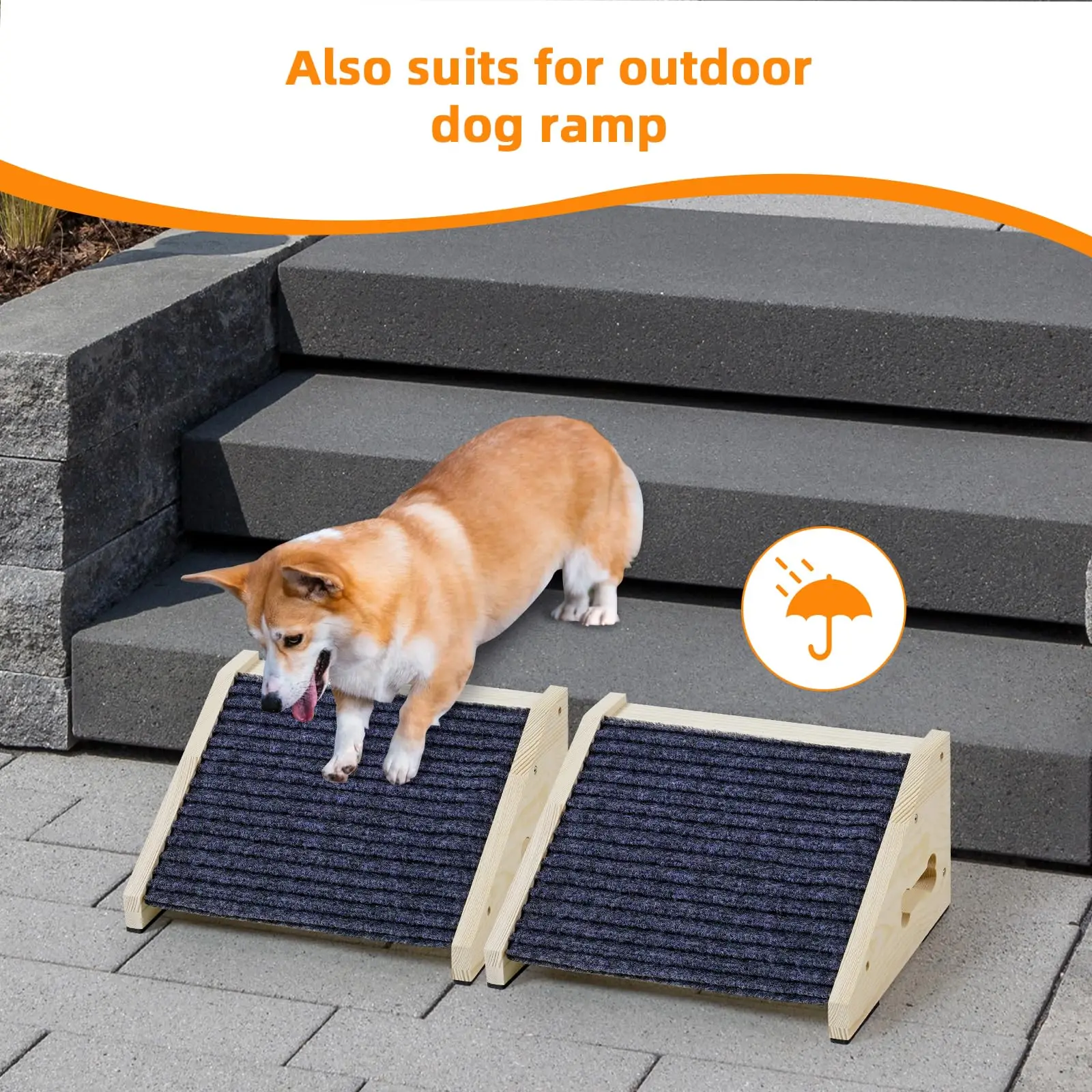 Thumbnail 3 - #9 Top Folding Dog Ramps Picks for Every Budget