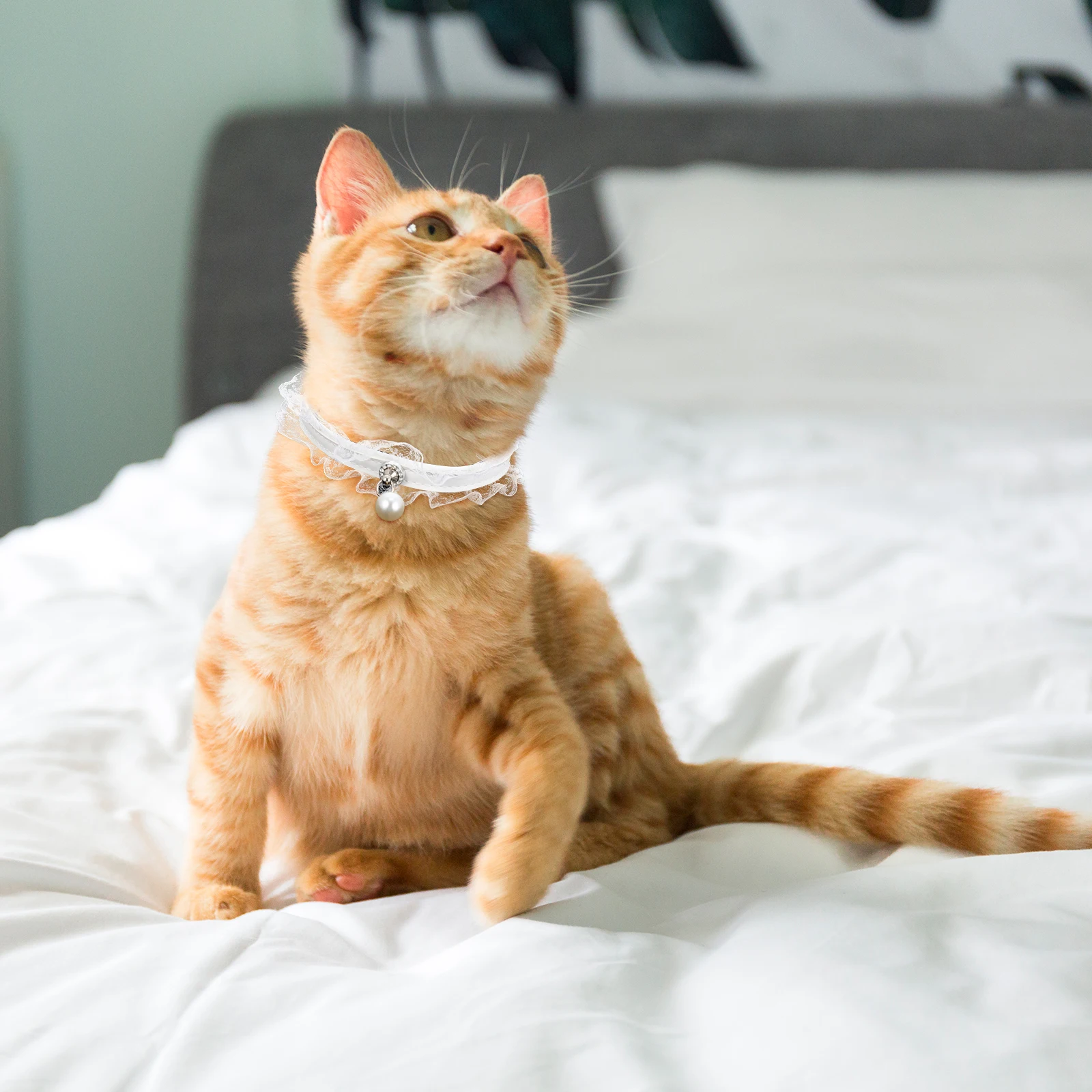 

Adjustable Lace Collar for Cats Dogs Comfortable Wear Pet Supplies Breathable Scarf Accessories Wedding Party Christmas Photos