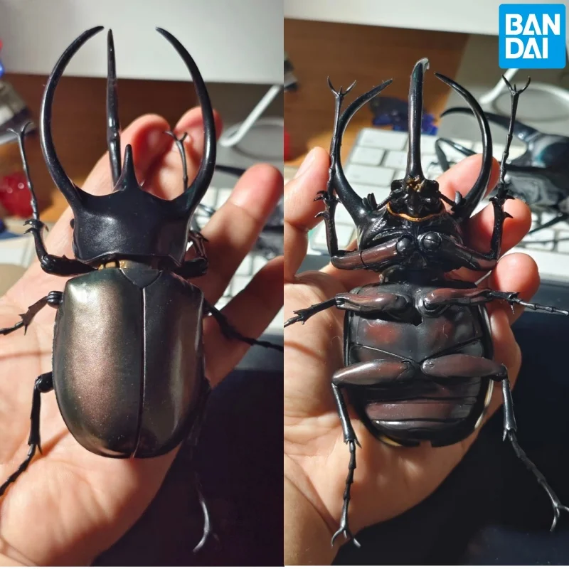 بانداي تشالكوما أطلس القوقاز خنفساء نموذج متحرك لعبة زخرفة الحشرات فائقة الواقعية لهواة الجمع شخصيات الحركة الأصلية #1