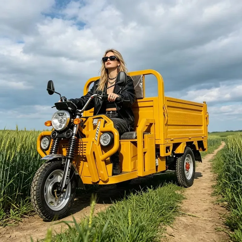 Durable Electric 3-Wheeler Cargo Motorcycle with Large Loading Box - Versatile Electric Trike for Warehouse and Farm Use