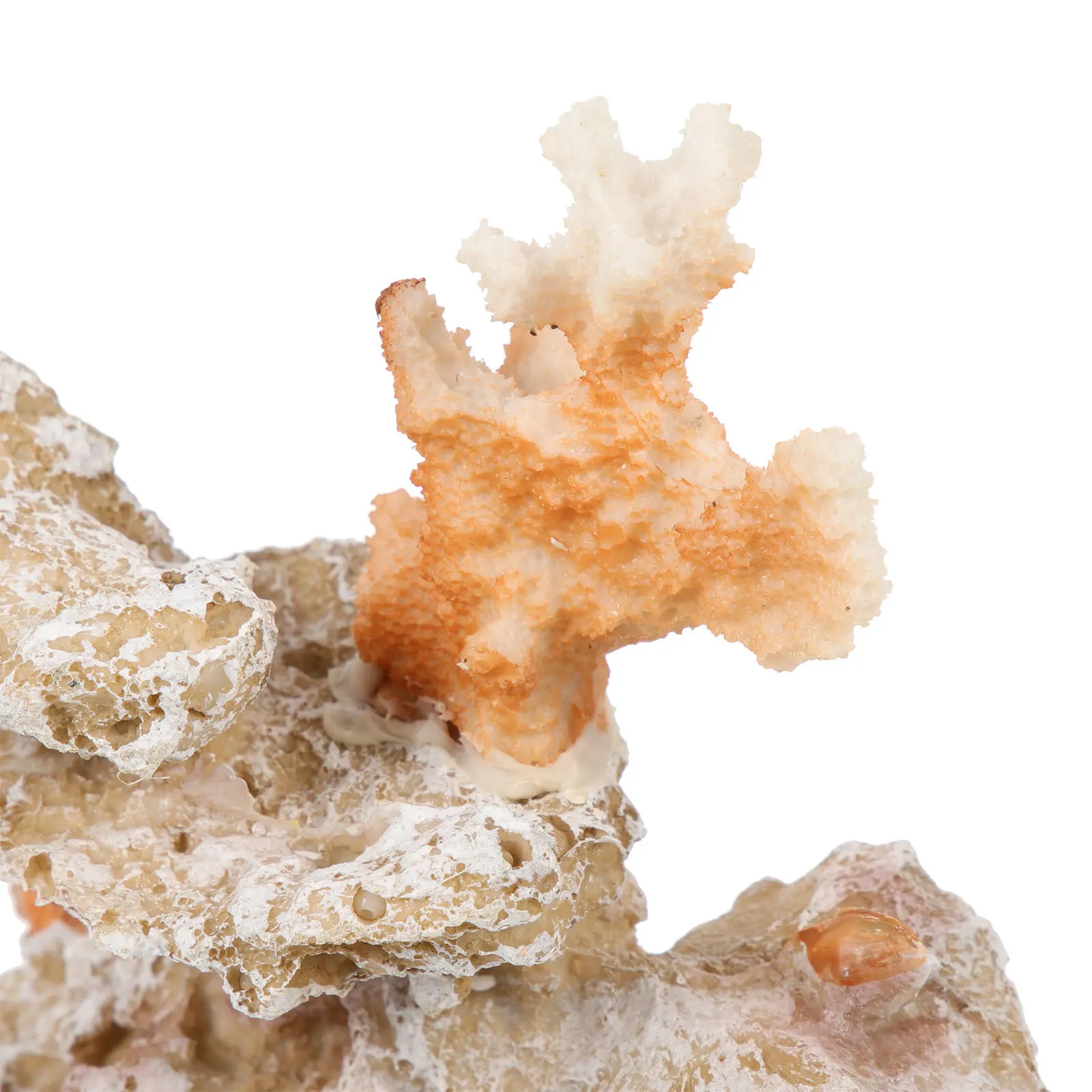 

Creative Red Coral Reef Decor for Tabletop Aquarium Small Fish Tank Decoration Room Bedroom Desk Decorative