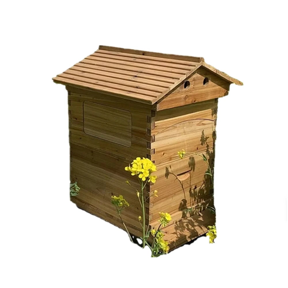 Large Scale Self Flowing Bee Spleen Bee Spirit Bee Plastic Honeycomb Frame Wooden Honeycomb Box Drying Cedar Tree Honey