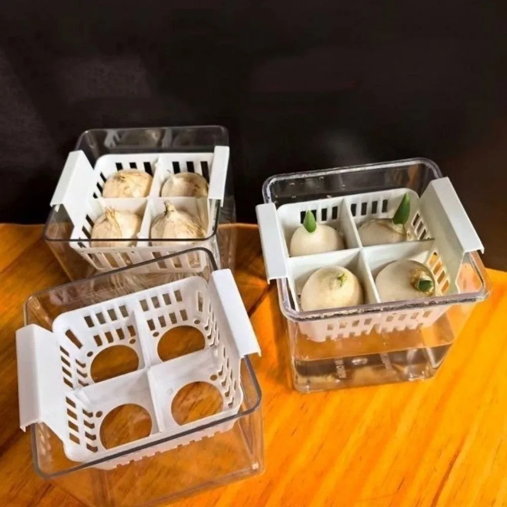 4 Grids Hydroponics Nursery Pots Clear Double Layered Water Culture Planter Square Plastic Tulip Bulb Planter Home Decoration