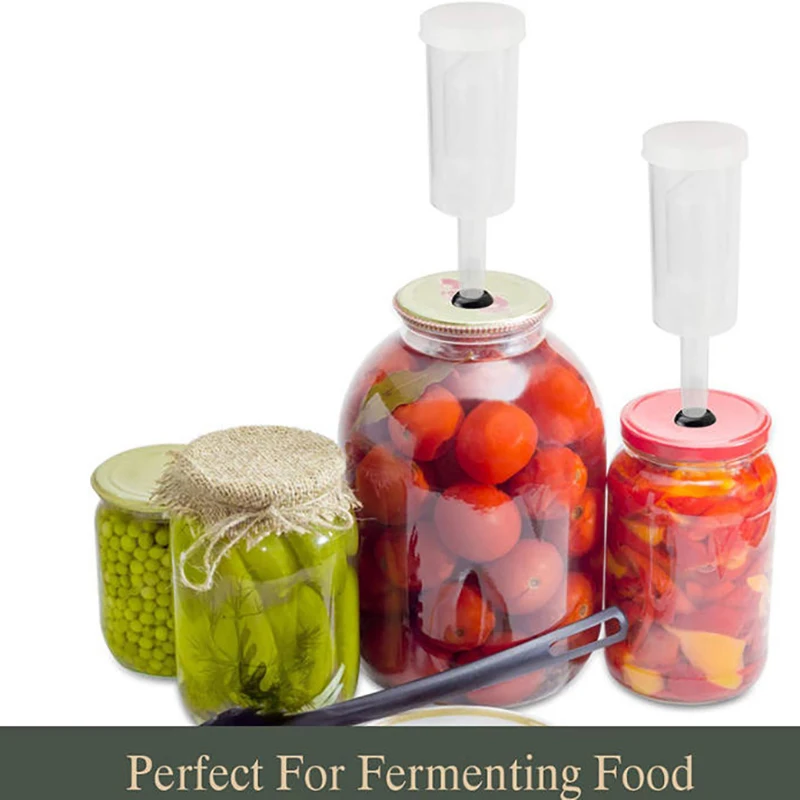 Kit de Fermentación para Cerveza, Vino, Sauerkraut, Kimchi, Kombucha y Encurtidos, con Válvula de Fermentación, Anillo de Sellado y Termómetro