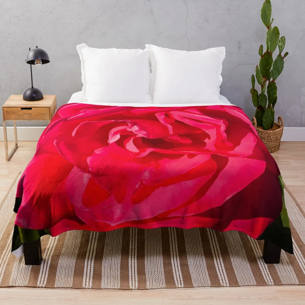 Single Red Romantic Rose Illuminated By Glorious Sunlight   Throw Blanket Camping Comforter Blankets