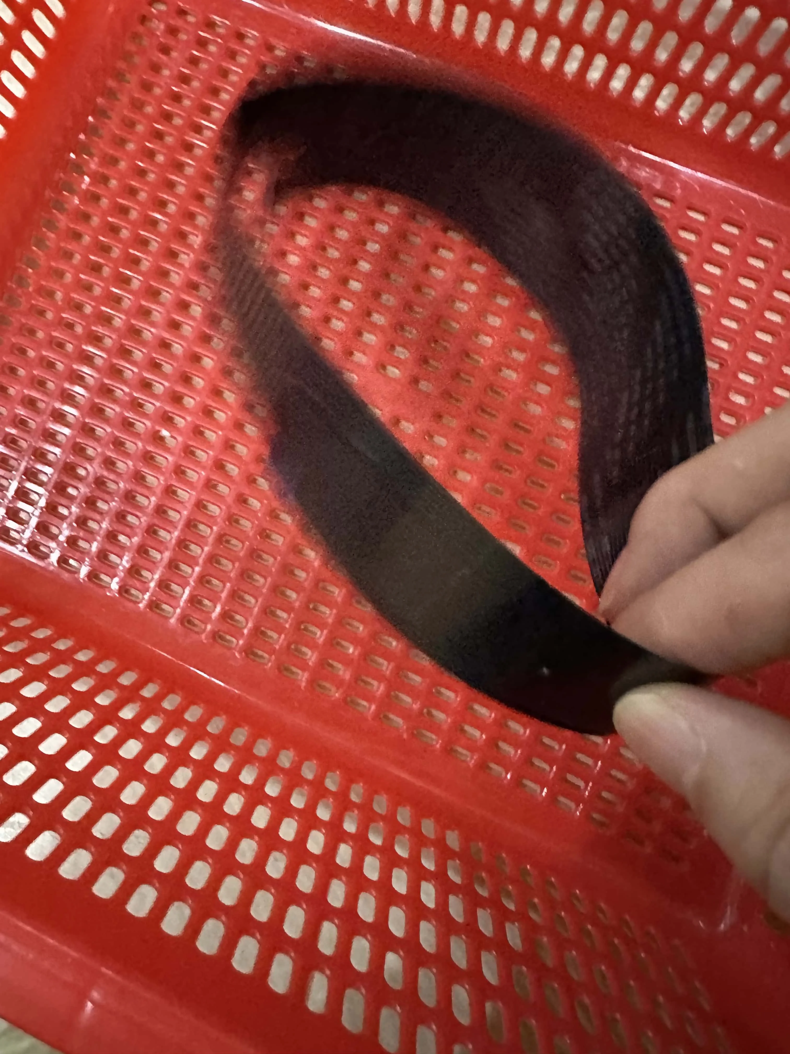 

5pcs CE847-60106 Scanner Scan Cable for HP M1130 M1132 M1136 M1210 M1212 M1213 M1216 M1217 M1005 M1120 M1522 M1536 200 M251 M276