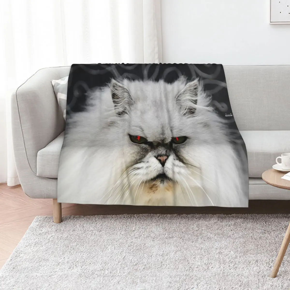 Persian cat / Swiss Artwork Photography Throw Blanket funny gift Decorative Sofas Camping Luxury Loose christmas gifts Blankets