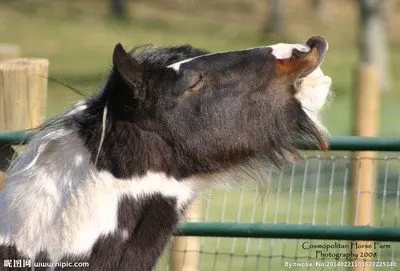 

Car Electrostatic Adsorption Sunroof Sunshade Cover For ZEEKR X 2023 2024 2025 Heat Insulation Skylight Sticker Auto Accessories