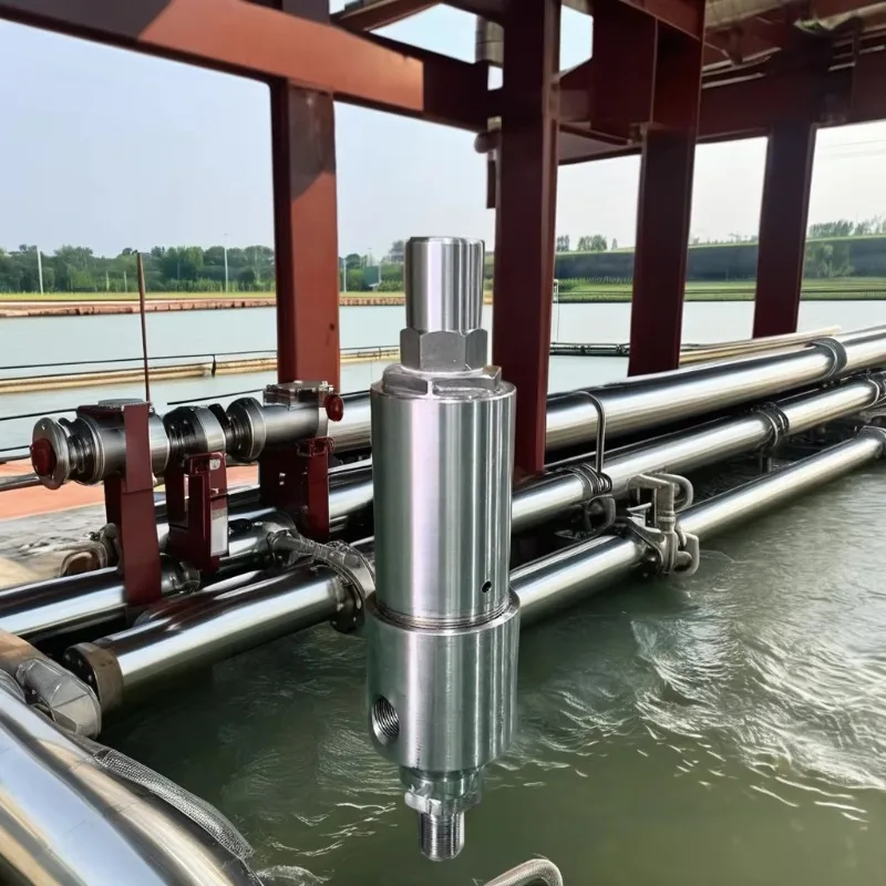 High Pressure 45MPA Stainless Steel Safety Valve Outlet Overflow Valve Factory Price Made in China LXM