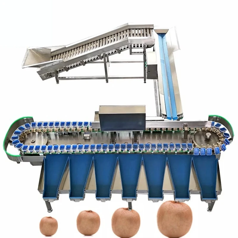 Multi-functional Weight Grader Fruits Vegetables High Capacity