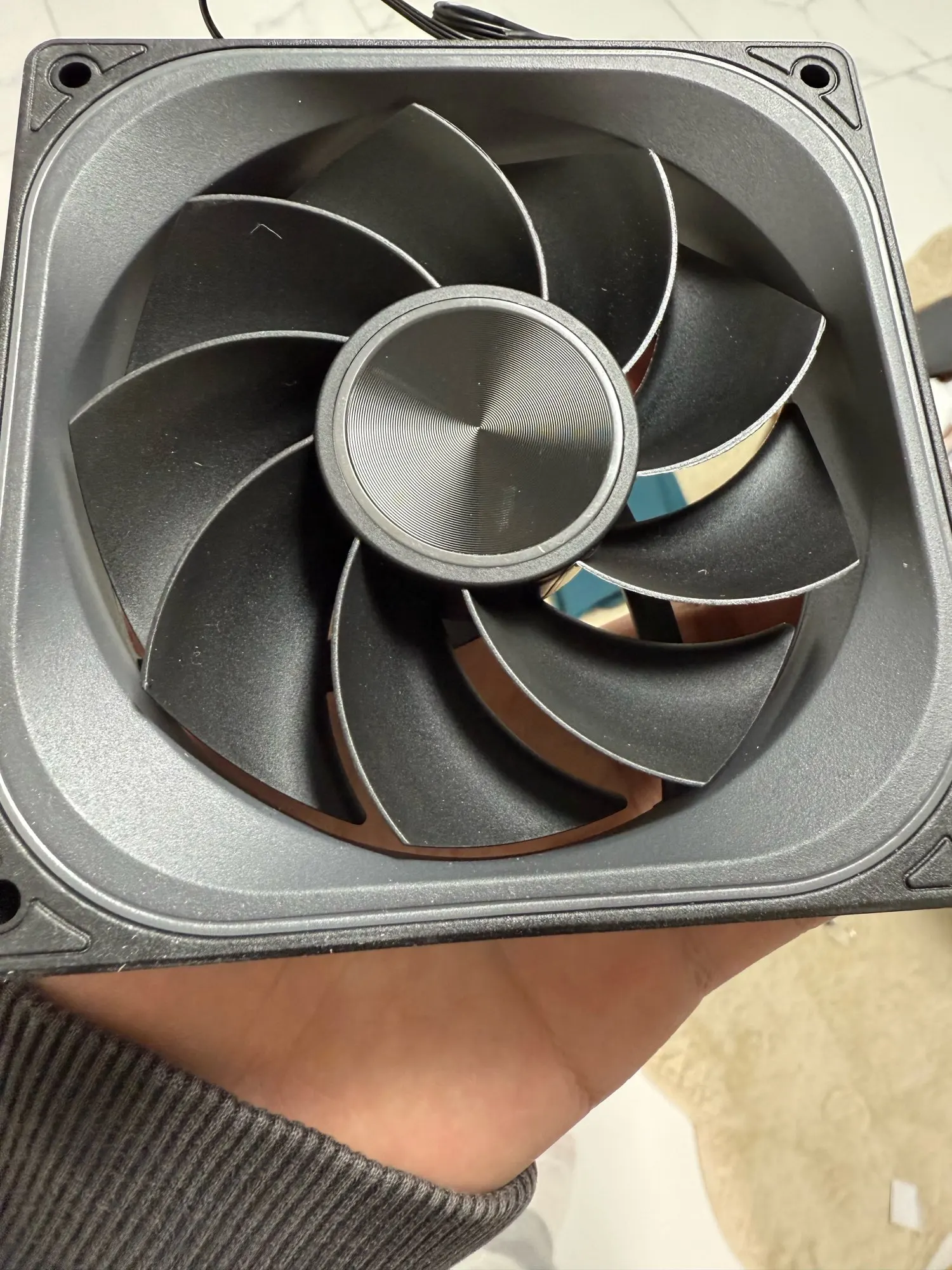 실물 포토 리뷰