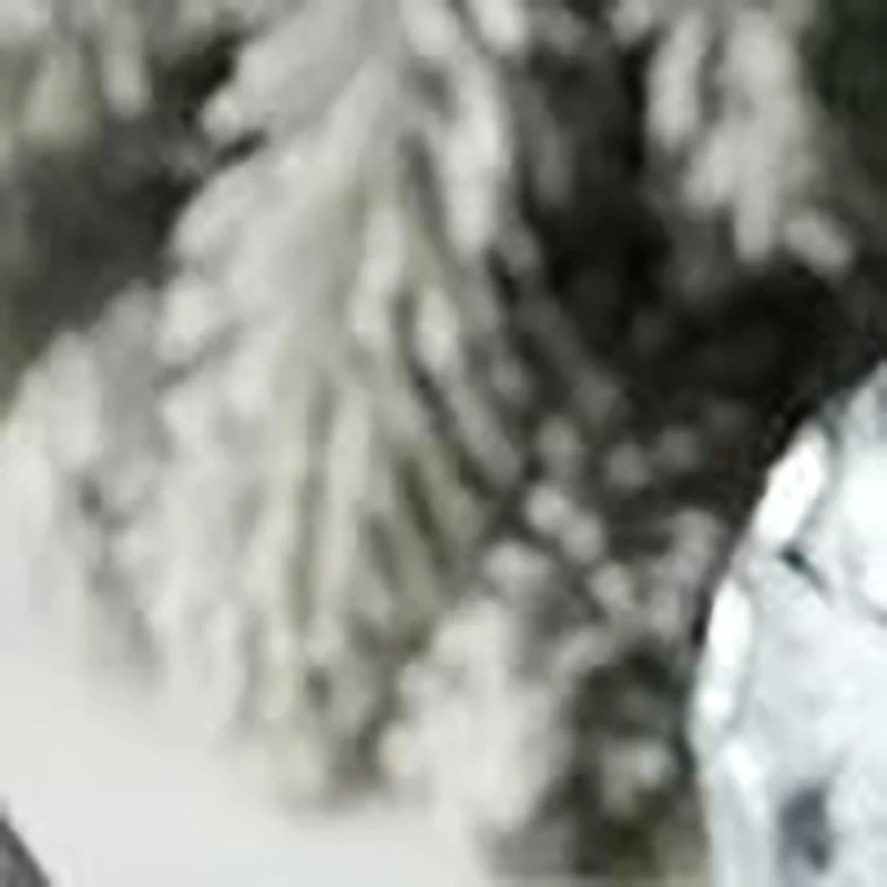 

Набор рождественских шаров 6 см, 12 упаковок, гальванические подвесные шары из ПВХ для праздника, свадьбы, вечеринки, рождественского шара