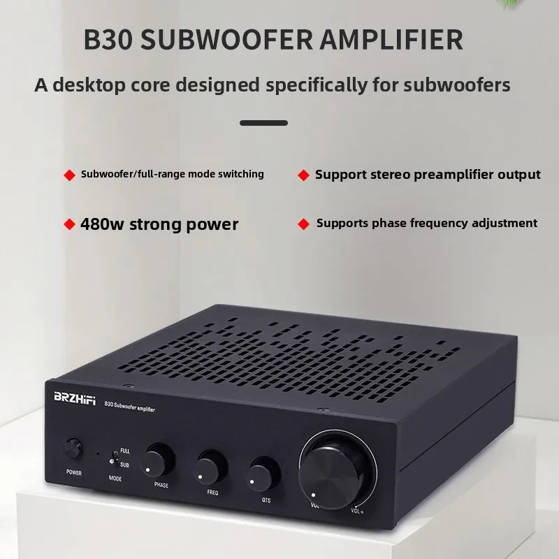 BRZHIFI B30 480W Mono Hi-Fi Amplifier Module