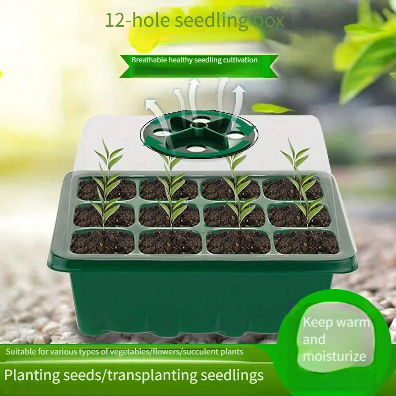 Seedling box Succulent flower plant seeding thickened seedling tray box three-piece cavity tray cover