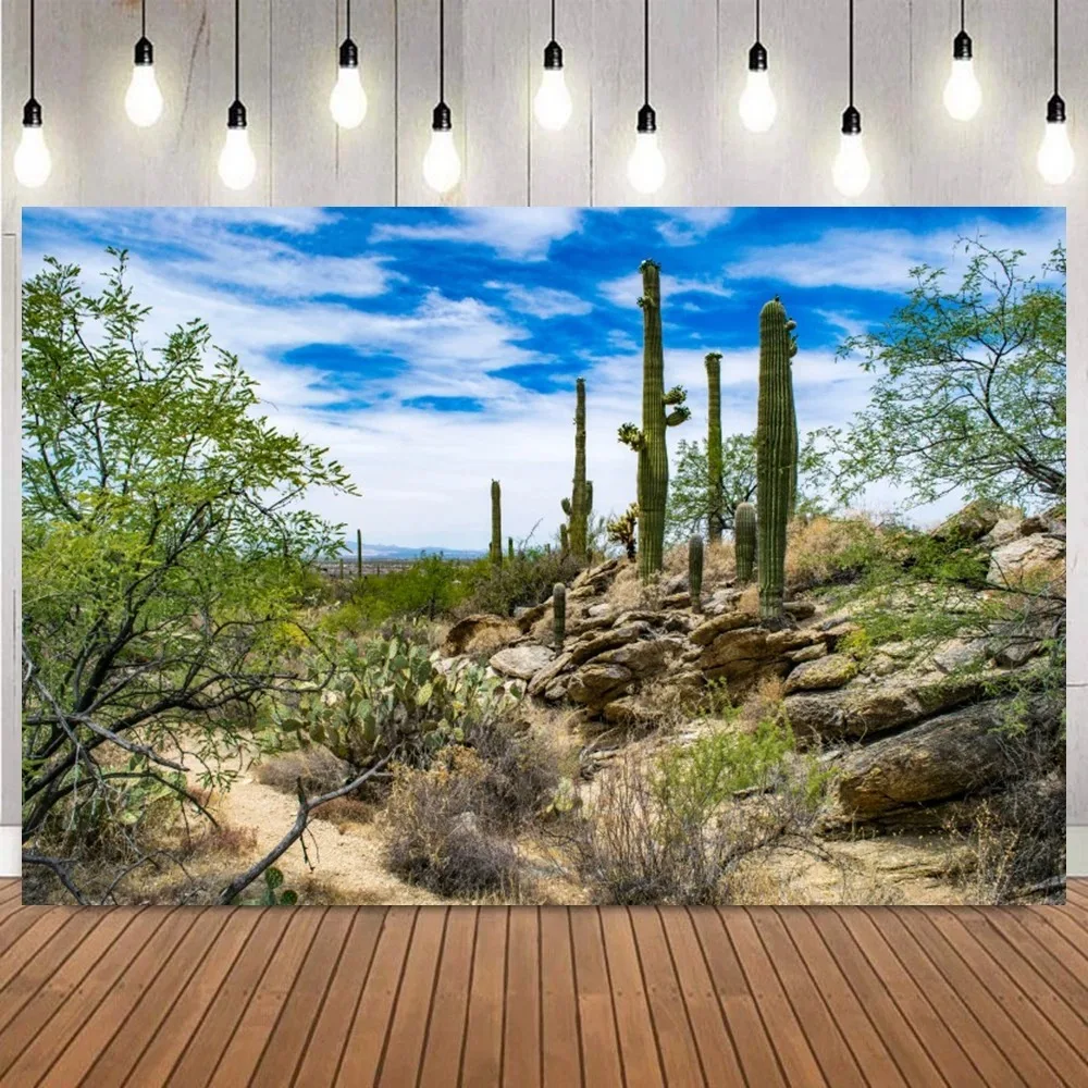 

Blue Sky, White Clouds, Cactus, Desert Landscape Photography Background, Mountain View, Home Decoration Photography Background