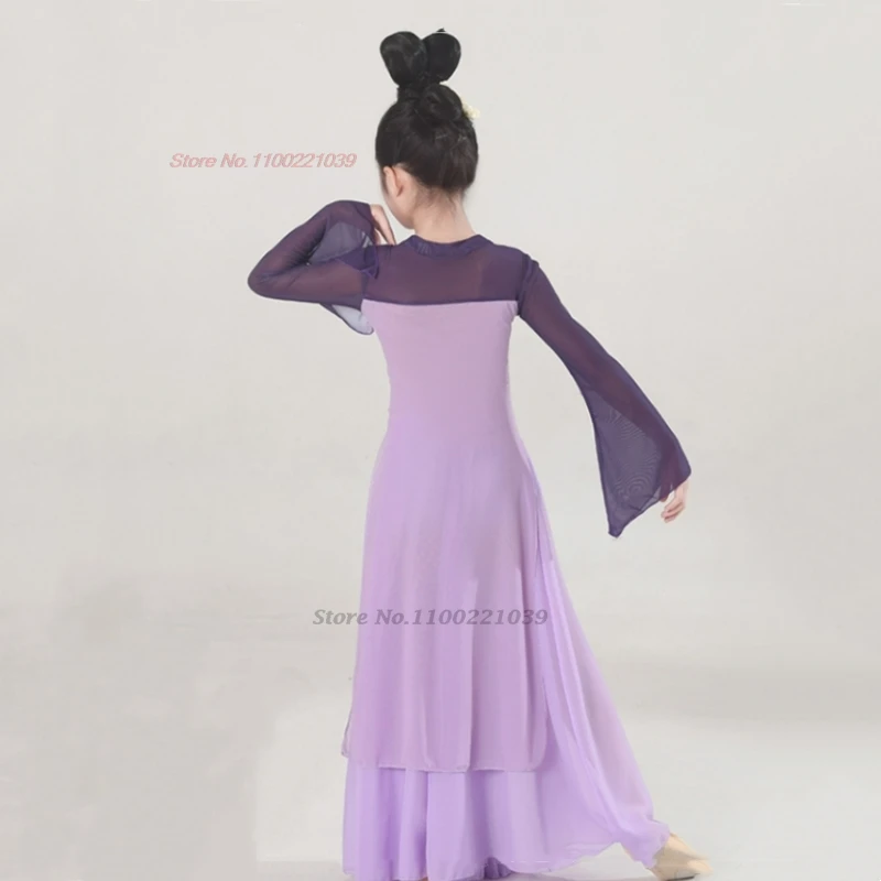 2025年中国風ヴィンテージ民族舞踊衣装花柄メッシュ漢服トップス+スカートセット伝統舞台公演ダンス妖精ドレス