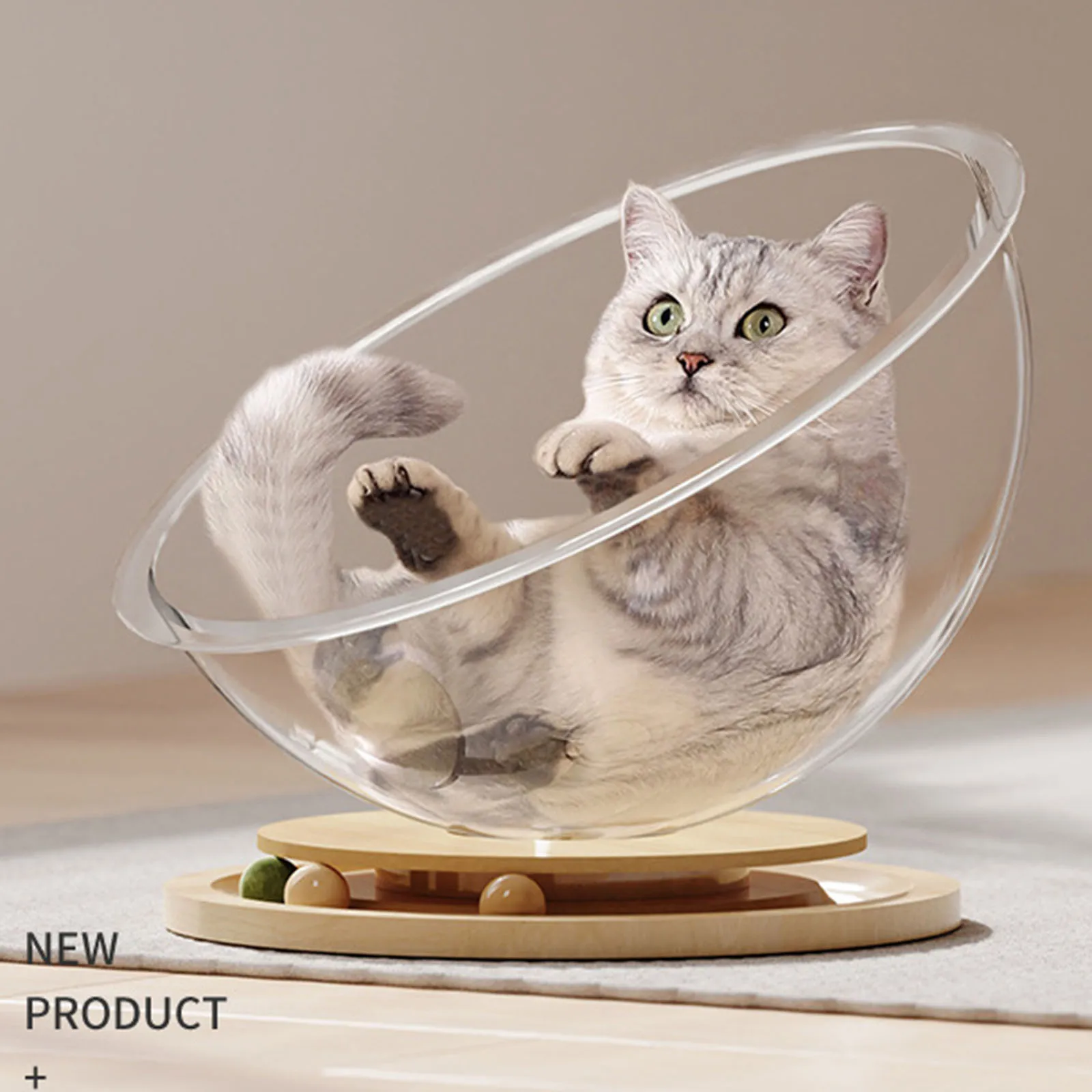 Space Capsule Cat Bed with Track Balls Toy Transparent Sleeping Nest Plastic Cat House for Small Medium Kitten Pet Supplies