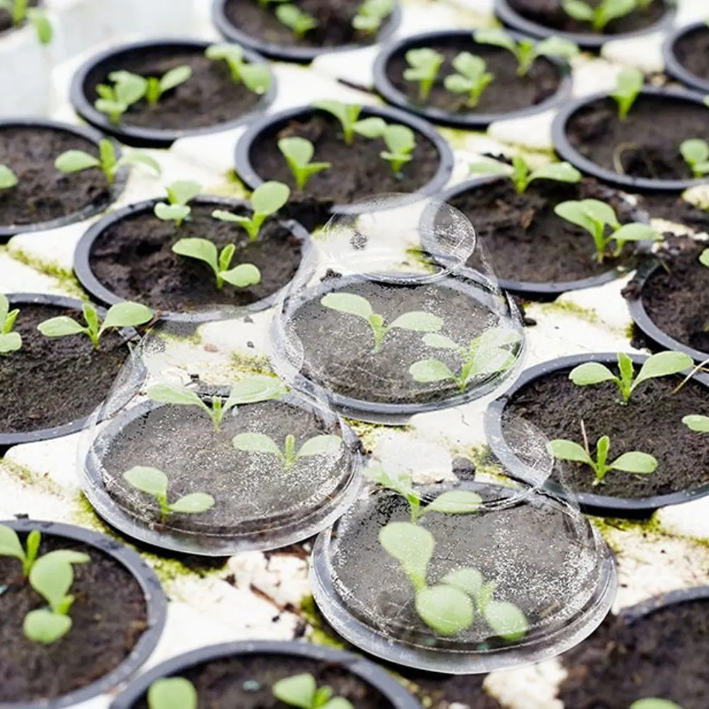 

1 set 1 Set Hydroponic Growing Containers With Transparent Domes For Indoor Garden, Grow Baskets Hydroponics Net Pots Plant