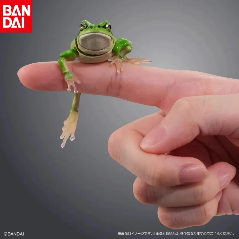 BANDAI Simulated Animal Model Rhacophorus Hylachinensis Different Style Models Active Joint Action Figure Desktop Decoration