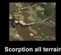 CAMO Scorption
